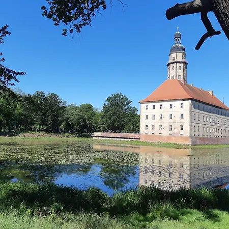 Waldblick Holiday home *