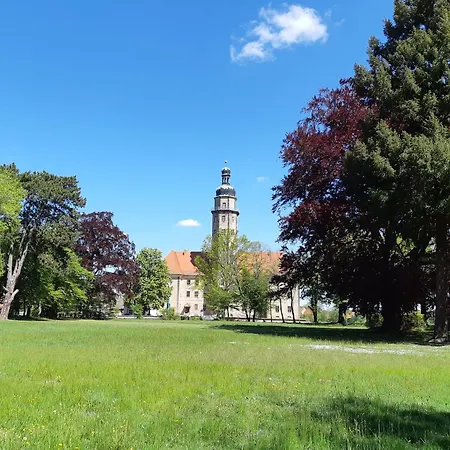 Waldblick