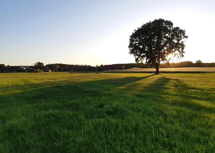Σπίτι διακοπών Waldblick